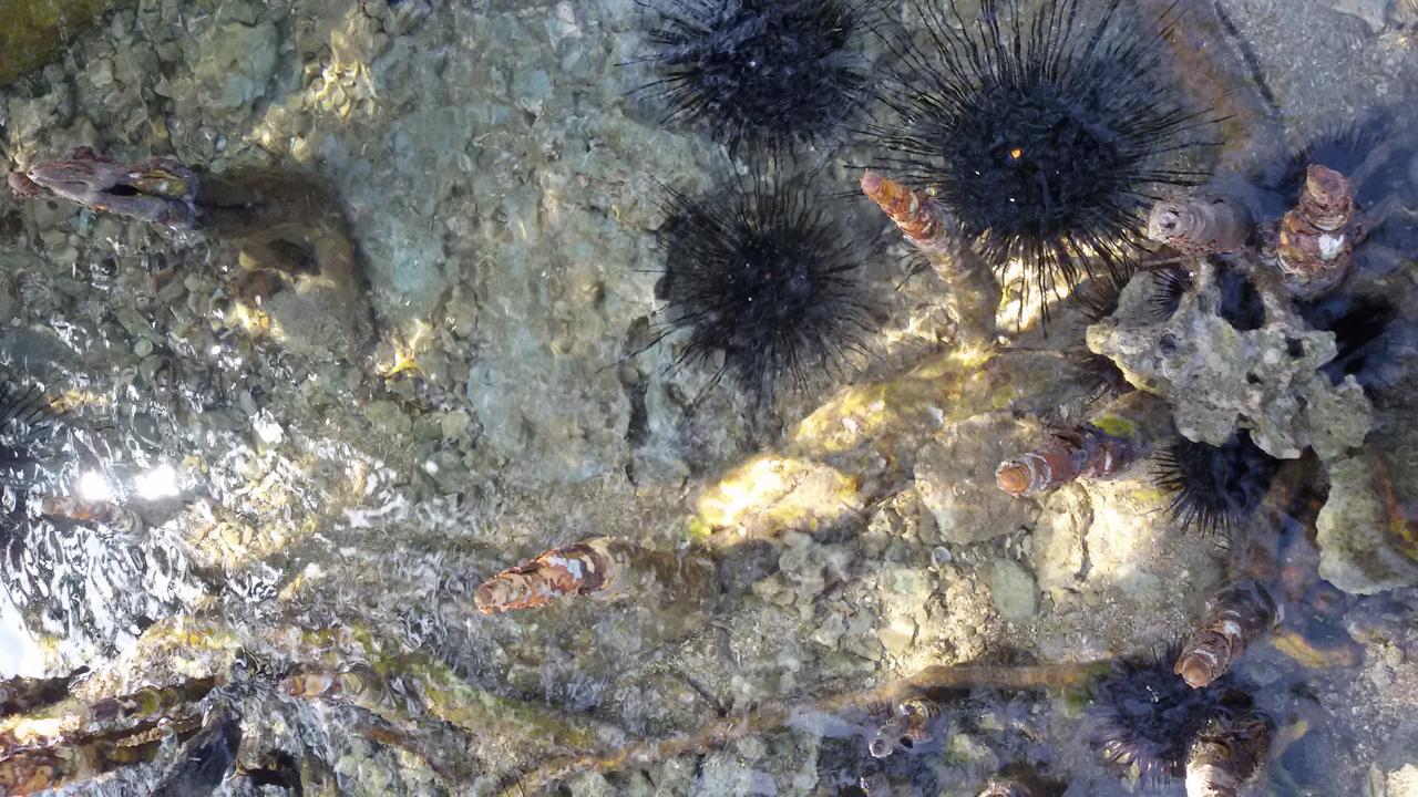 Bahari Pori Resort Pangani Buitenkant foto