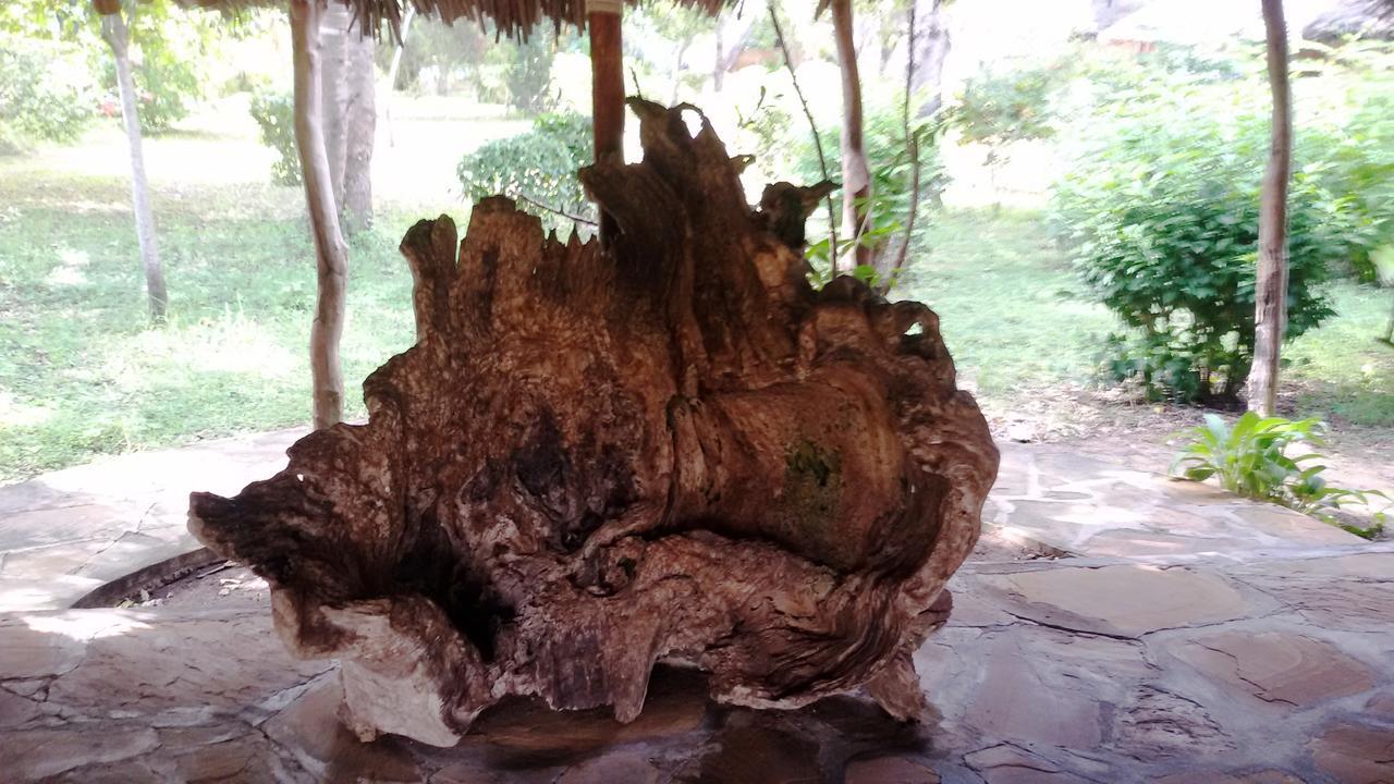 Bahari Pori Resort Pangani Buitenkant foto