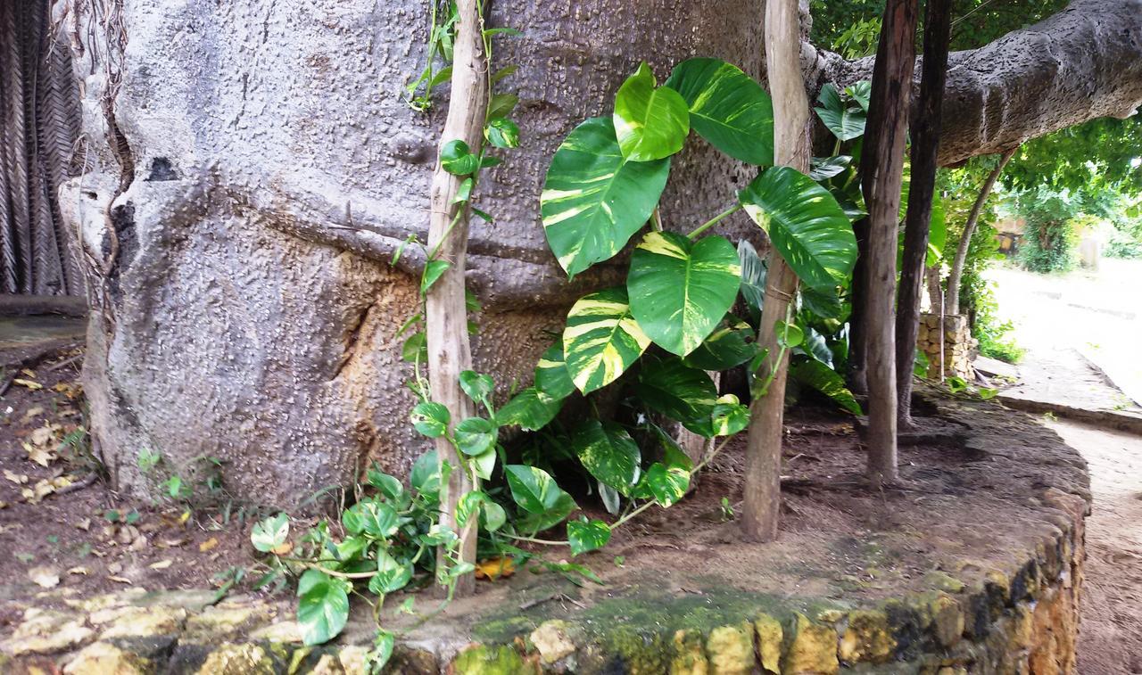 Bahari Pori Resort Pangani Buitenkant foto